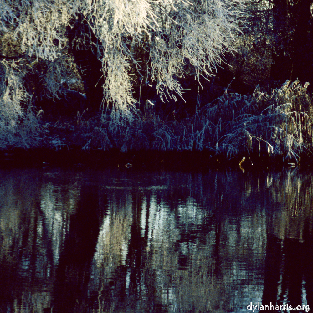 image: This is &lsquo;st. neots park (vii) 3&rsquo;.