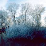 image: Image from the photoset &lsquo;st. neots park (vii)&rsquo;.