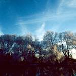 image: Image from the photoset &lsquo;st. neots park (vii)&rsquo;.