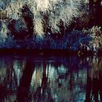 image: st.neots park (vii) photoset