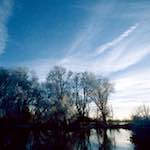 image: Image from the photoset &lsquo;st. neots park (vii)&rsquo;.