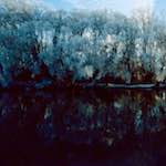 image: Image from the photoset &lsquo;st. neots park (vii)&rsquo;.