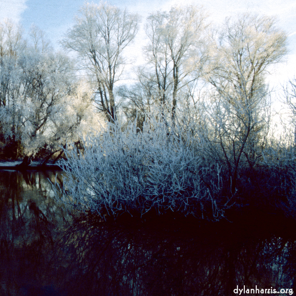 image: This is &lsquo;st. neots park (viii) 1&rsquo;.