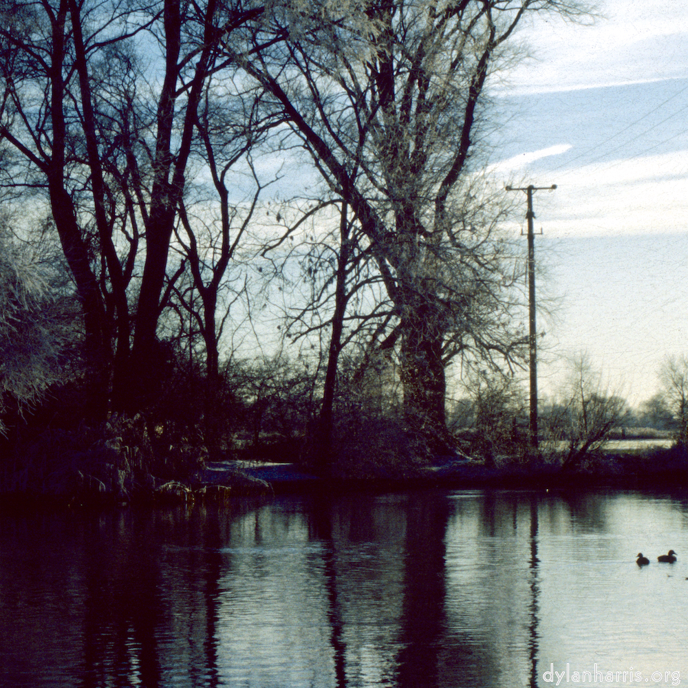 Image 'st. neots park (viii) 2'.