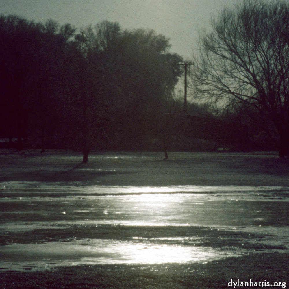 image: This is &lsquo;st. neots park (viii) 4&rsquo;.