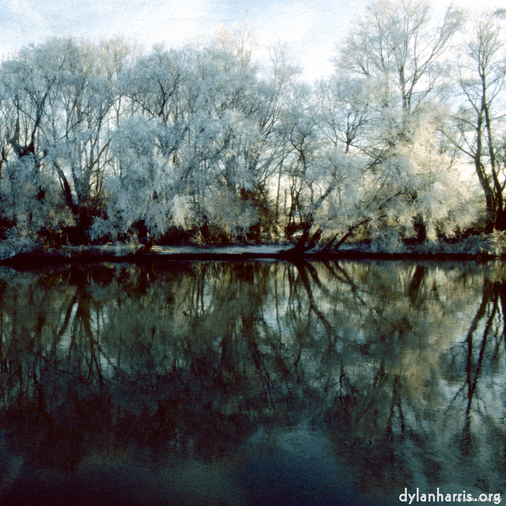 image: This is &lsquo;st. neots park (viii) 5&rsquo;.