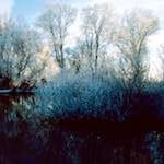 image: Image from the photoset &lsquo;st. neots park (viii)&rsquo;.