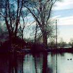 image: Image from the photoset &lsquo;st. neots park (viii)&rsquo;.
