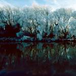 image: Image from the photoset &lsquo;st. neots park (viii)&rsquo;.