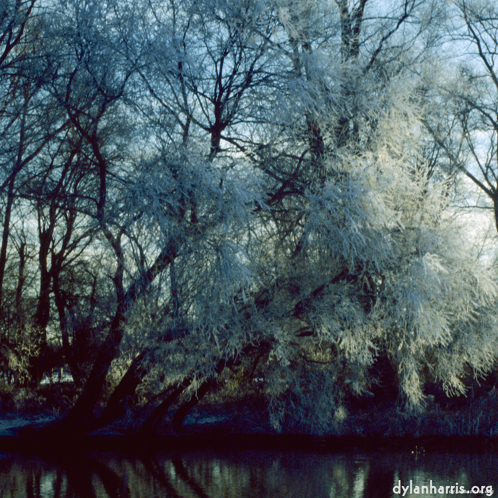 image: This is &lsquo;st. neots park (ix) 1&rsquo;.