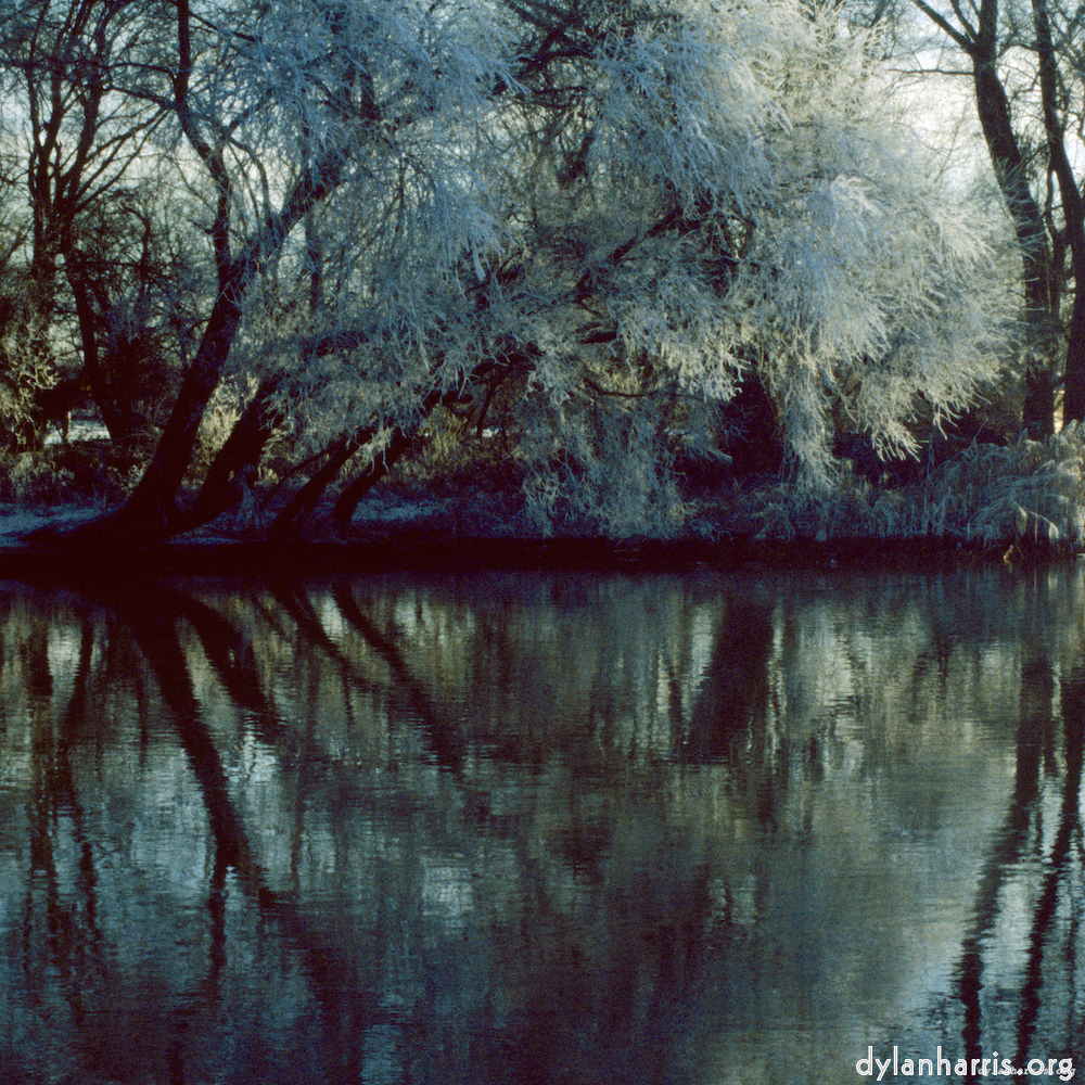image: This is &lsquo;st. neots park (ix) 4&rsquo;.