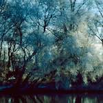 image: Image from the photoset &lsquo;st. neots park (ix)&rsquo;.