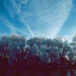 image: Image from the photoset &lsquo;st. neots park (ix)&rsquo;.