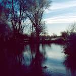 image: Image from the photoset &lsquo;st. neots park (ix)&rsquo;.