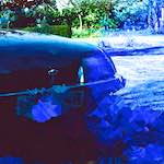 First image from the photoset 'damage (ii)'.