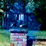 Seventh image from the photoset 'damage (ii)'.