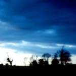 image: Image from the photoset &lsquo;fen (vii)&rsquo;.