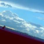 image: Image from the photoset &lsquo;fen (vii)&rsquo;.