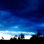 image: Image from the photoset &lsquo;fen (vii)&rsquo;.