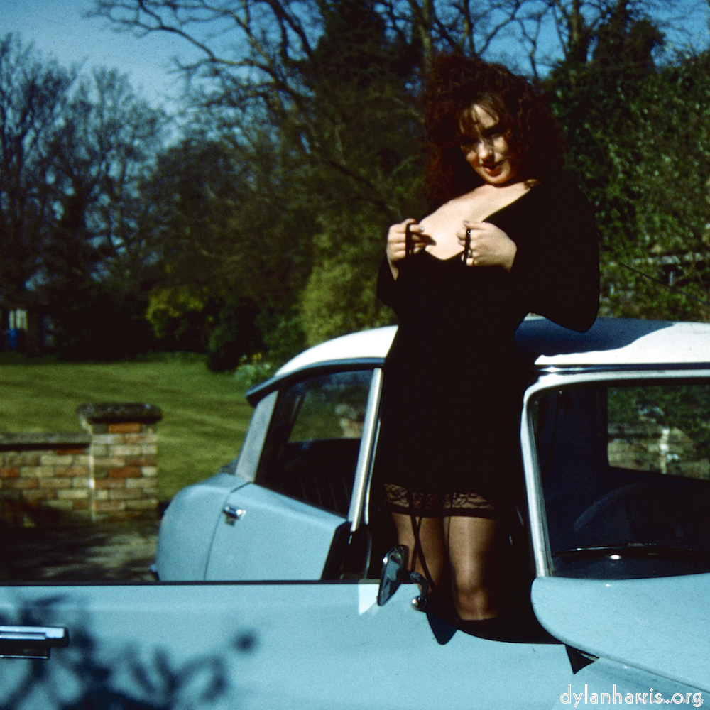 image: This is &lsquo;kerry (xxxvi) 3&rsquo;.