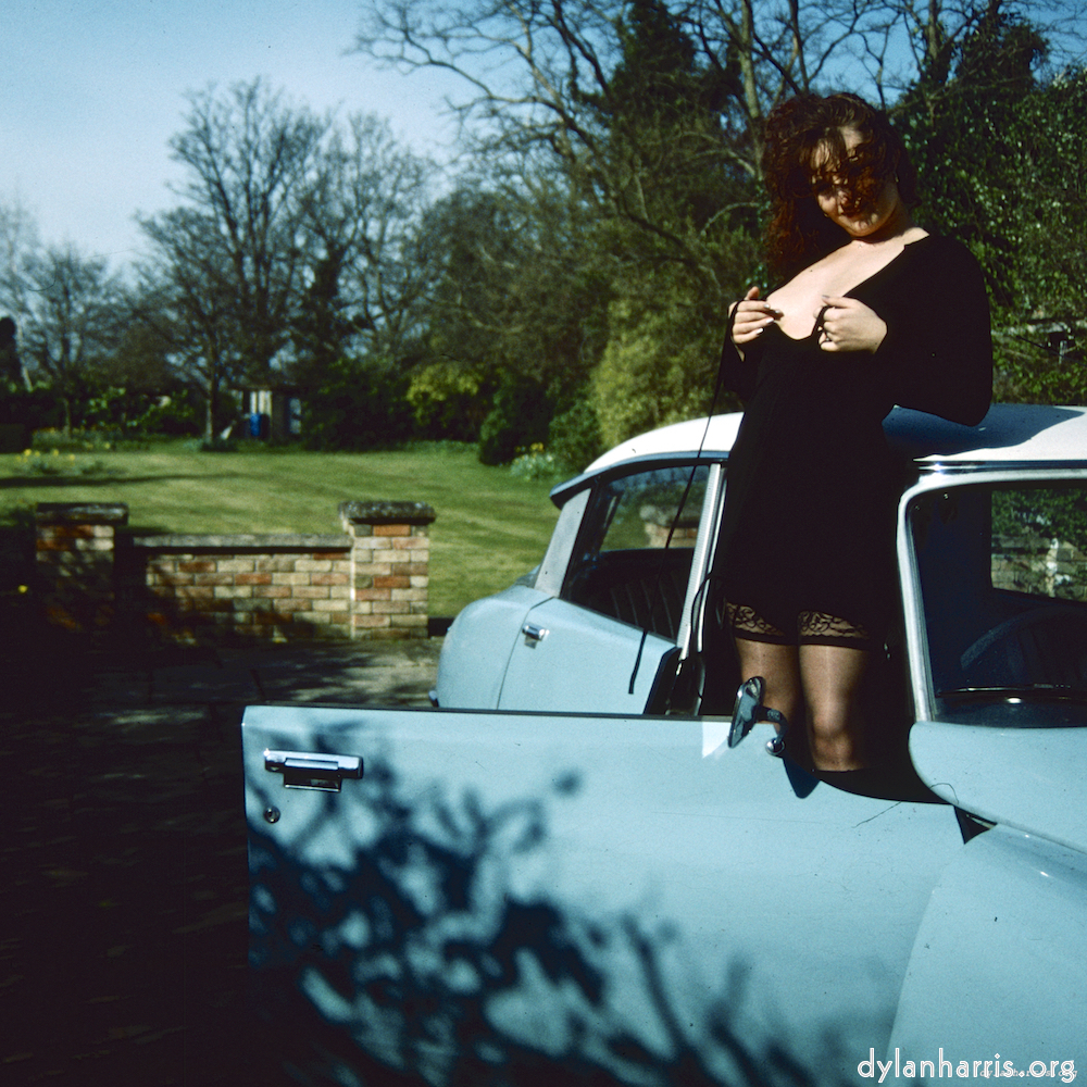 image: This is &lsquo;kerry (xxxvi) 7&rsquo;.