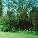 image: Image from the photoset &lsquo;kerry (xxxix)&rsquo;.