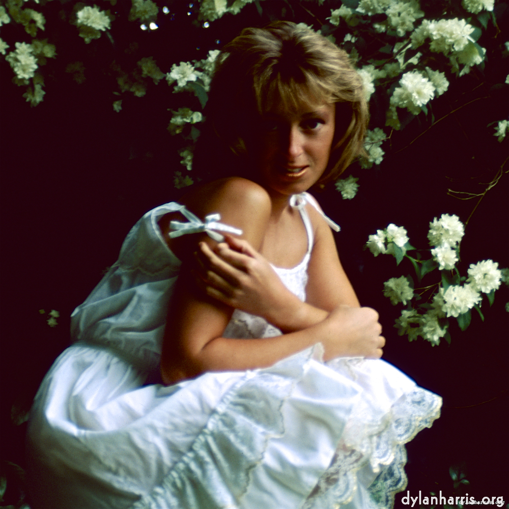 image: This is &lsquo;lisa (l) 5&rsquo;.