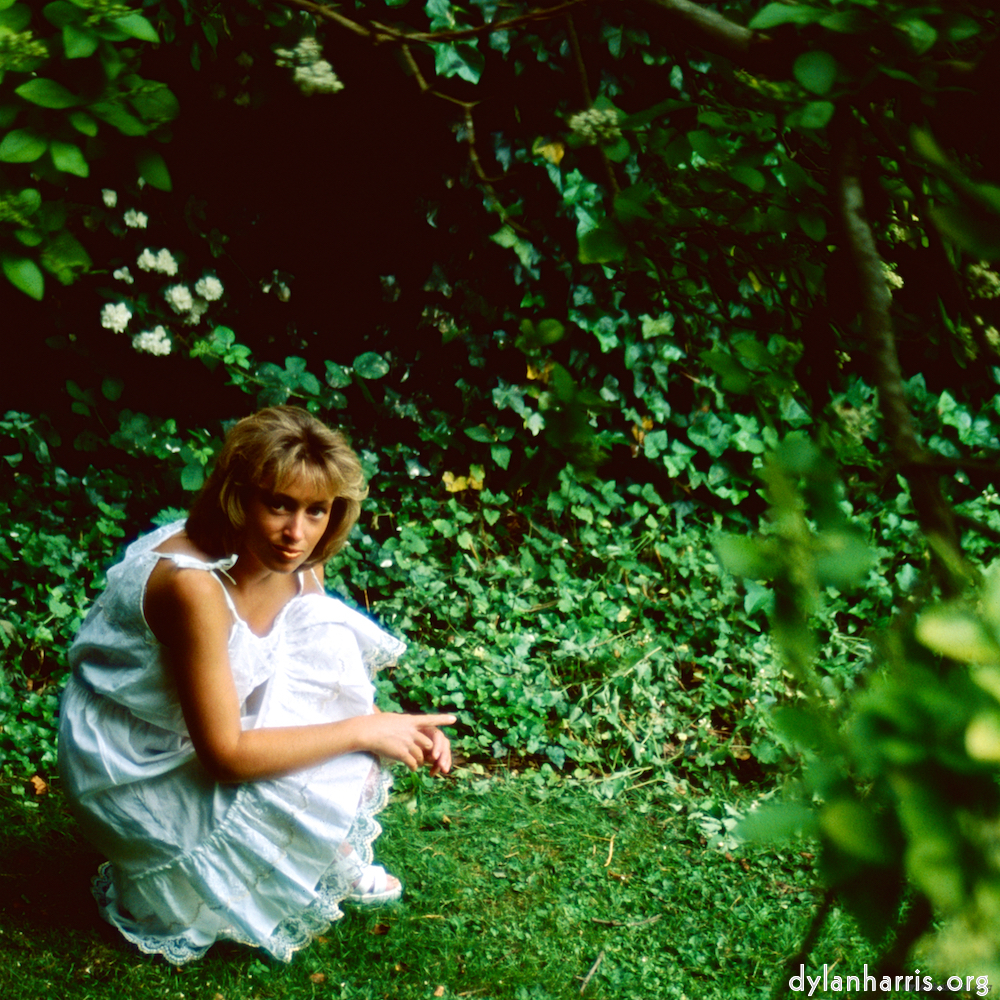 image: This is &lsquo;lisa (li) 1&rsquo;.