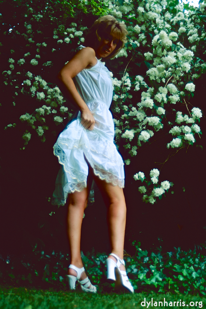 image: This is &lsquo;lisa (lii) 1&rsquo;.
