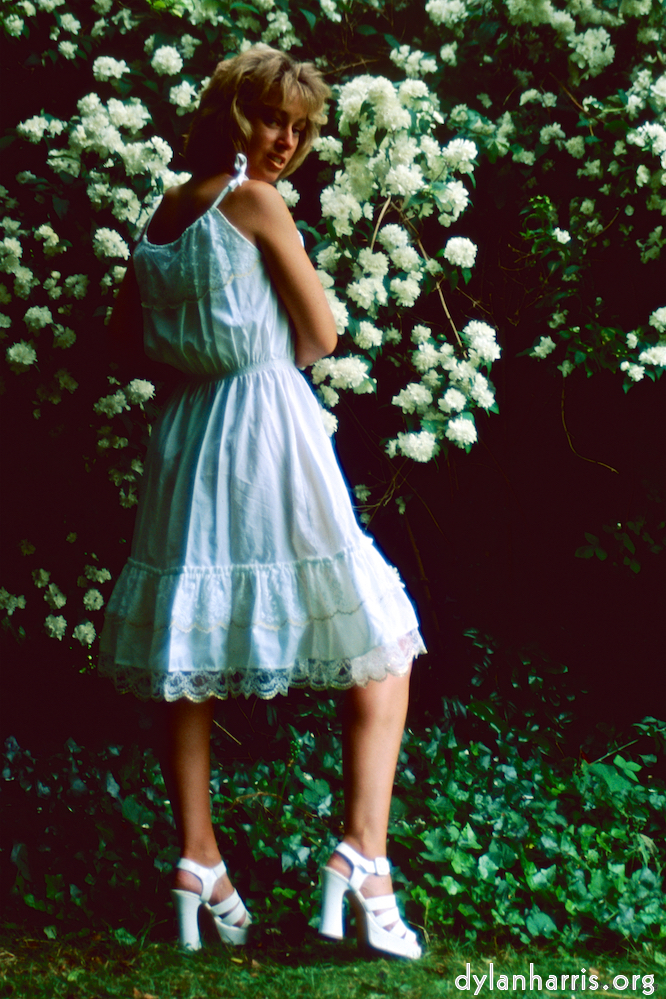 image: This is &lsquo;lisa (lii) 2&rsquo;.
