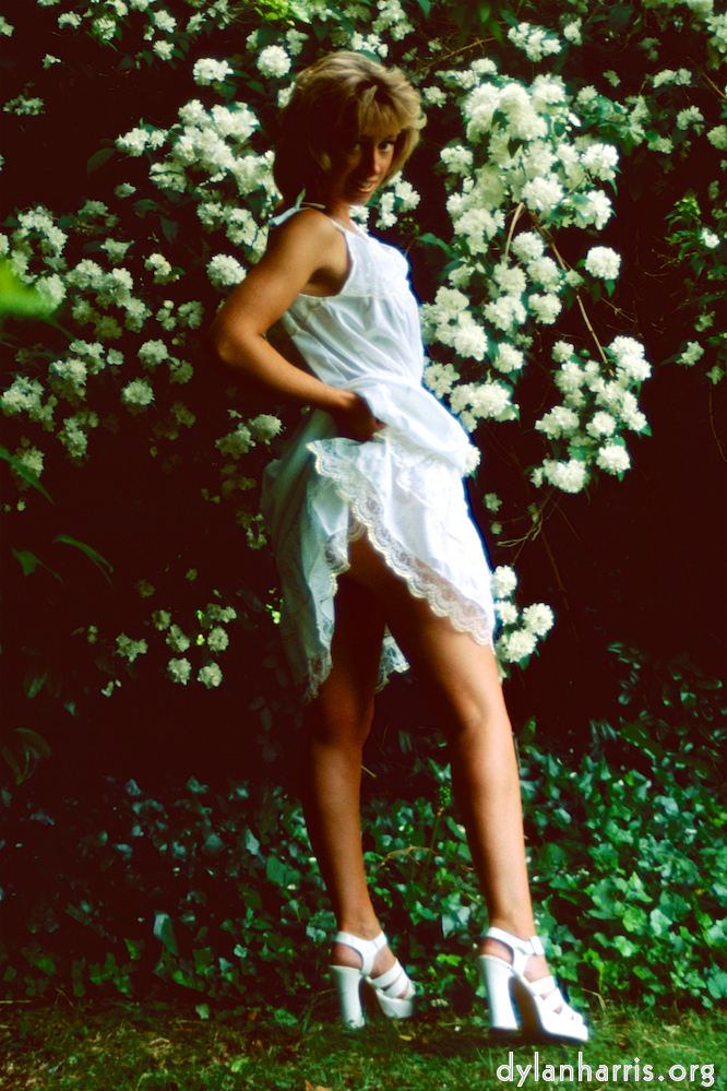 image: This is &lsquo;lisa (lii) 3&rsquo;.