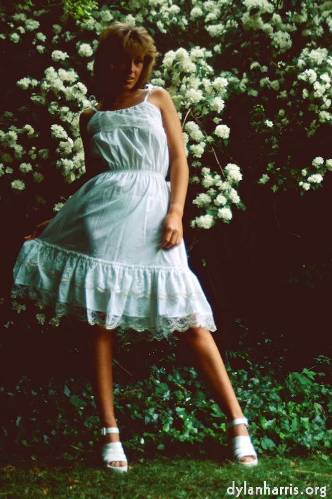 image: This is &lsquo;lisa (lii) 5&rsquo;.