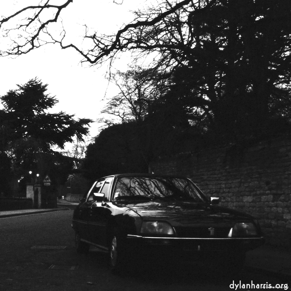 image: This is &lsquo;citro&euml;n (xiv) 3&rsquo;.
