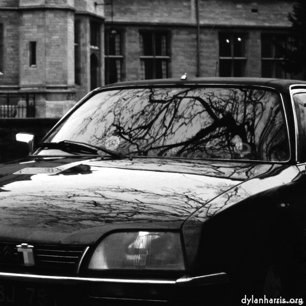 image: This is &lsquo;citro&euml;n (xiv) 6&rsquo;.