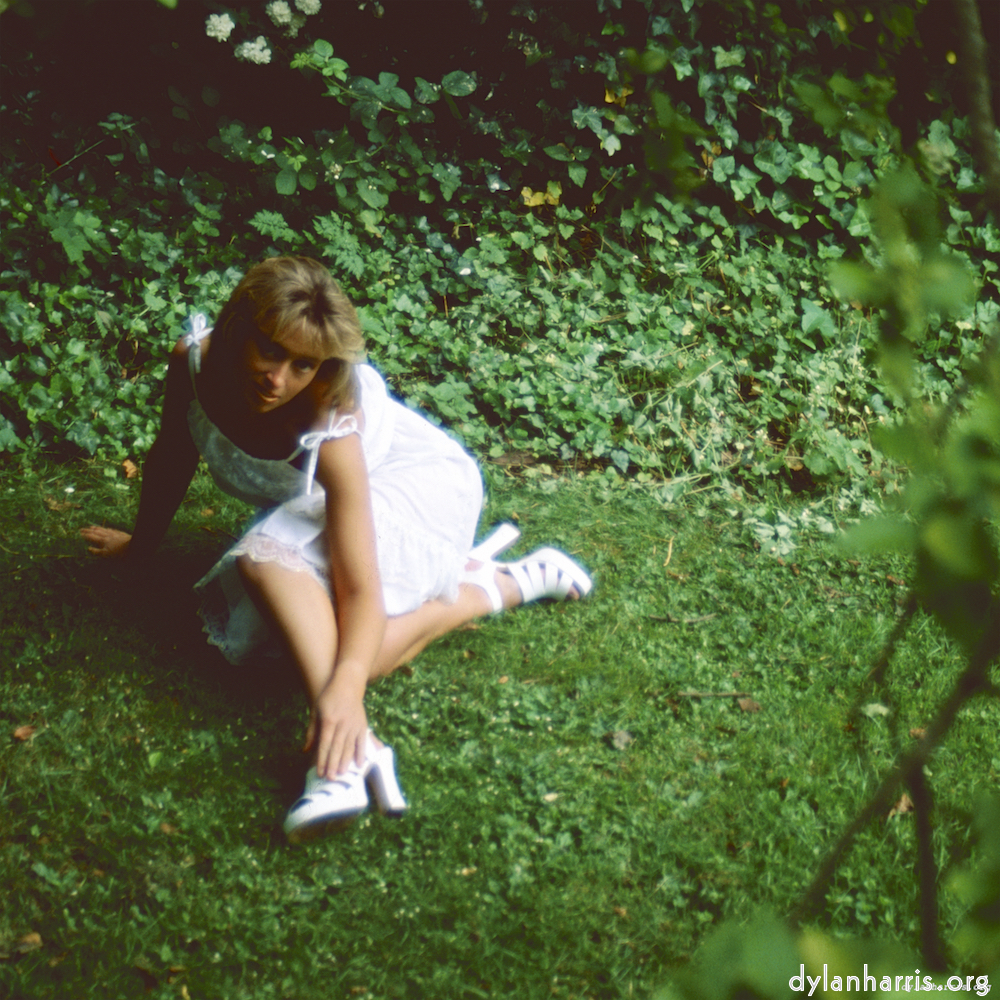 Image 'lisa (xxiii) 10'.