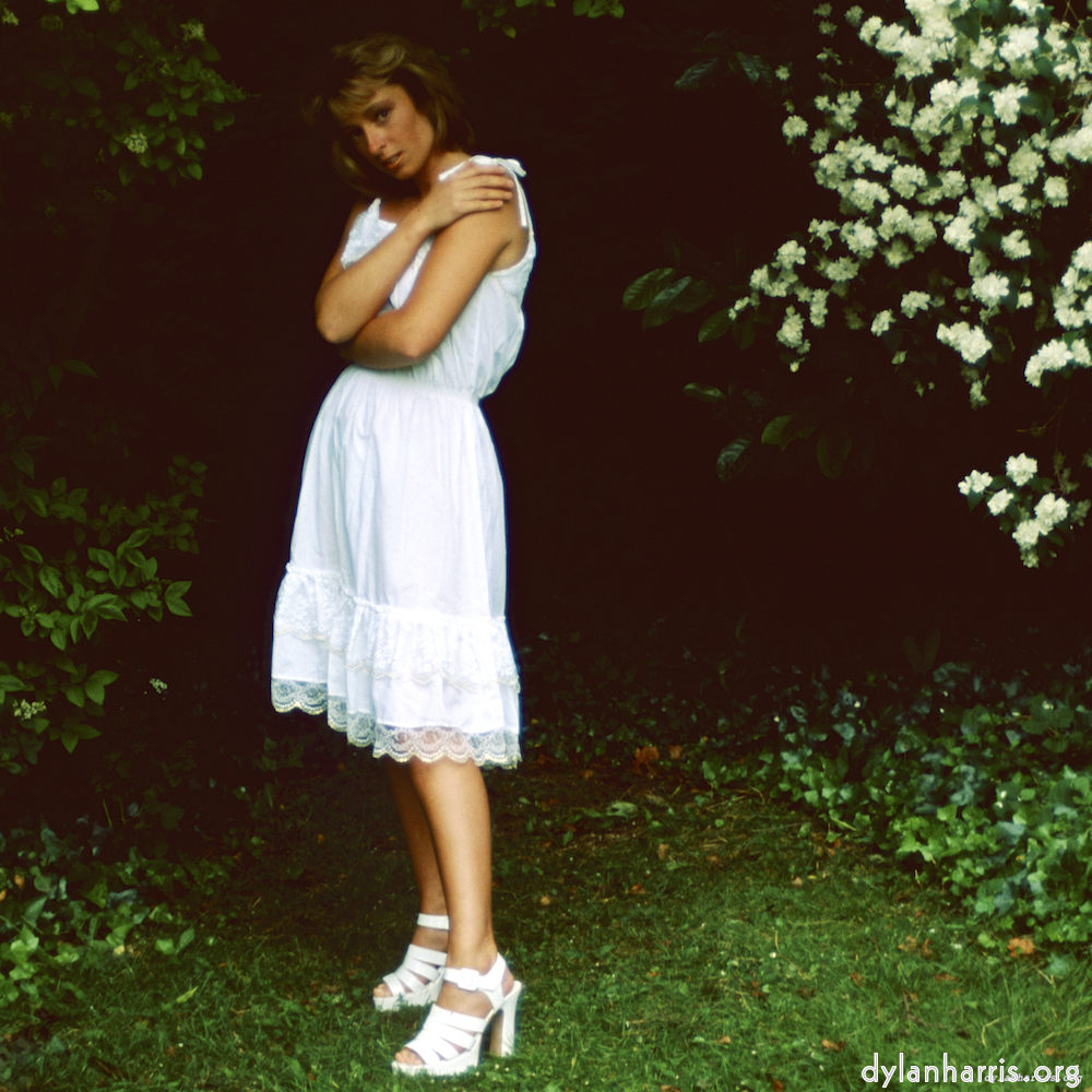 image: This is &lsquo;lisa (xxiii) 8&rsquo;.