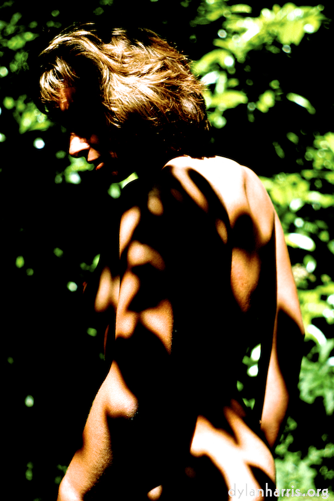 image: This is &lsquo;lisa (liii) 2&rsquo;.