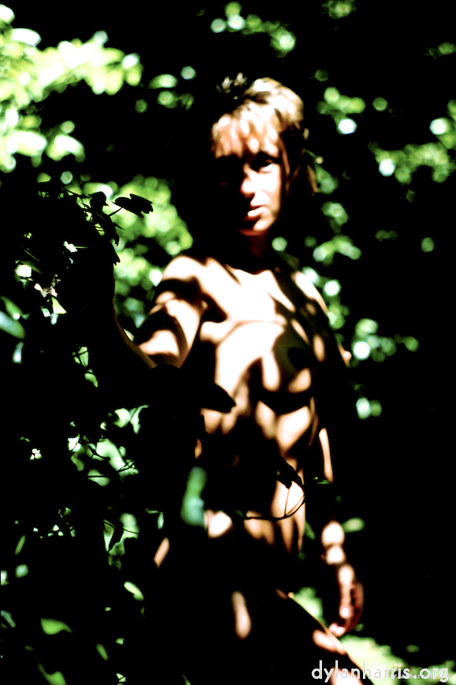 image: This is &lsquo;lisa (liii) 7&rsquo;.