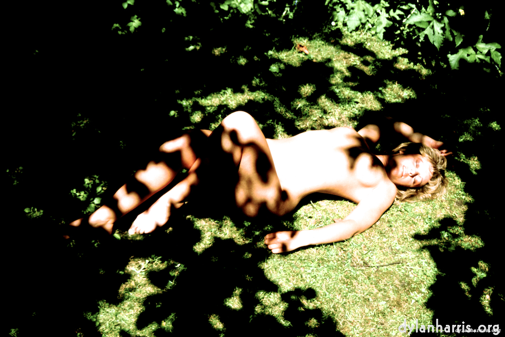image: This is &lsquo;lisa (liv) 1&rsquo;.