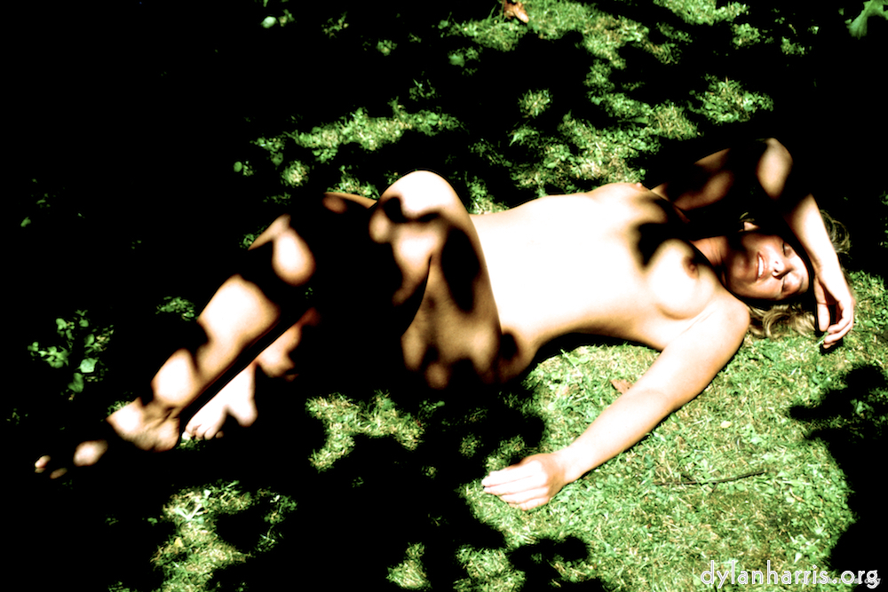 image: This is &lsquo;lisa (liv) 6&rsquo;.