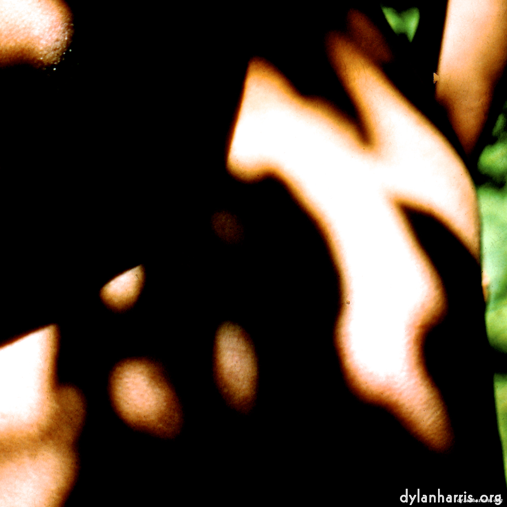 image: This is &lsquo;lisa (lvii) 9&rsquo;.