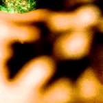image: Image from the photoset &lsquo;lisa (lvii)&rsquo;.