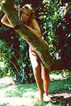 image: Image from the photoset &lsquo;lisa (xxx)&rsquo;.