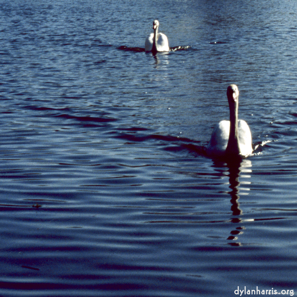 Image 'st. neots 1'.