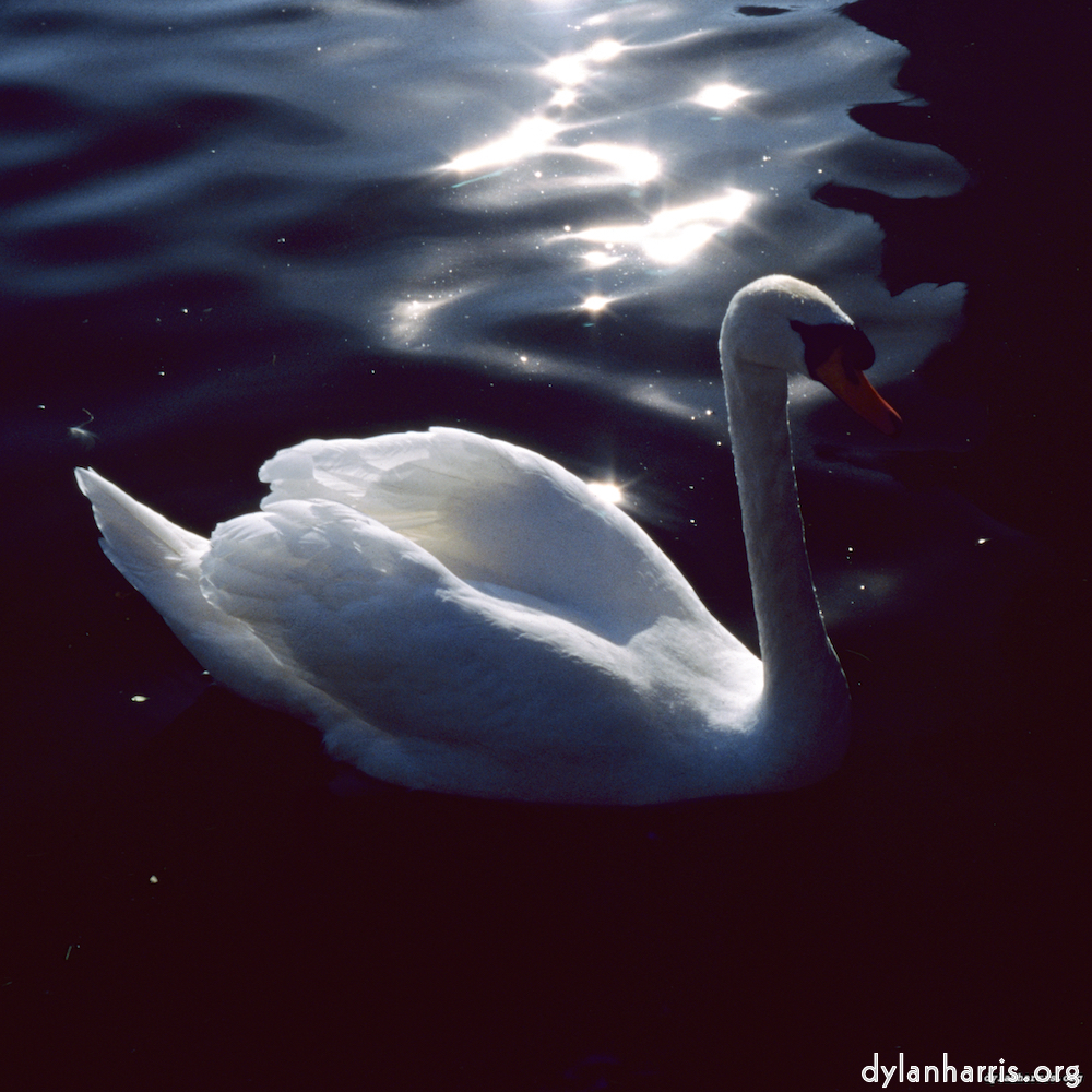 image: This is &lsquo;st. neots 5&rsquo;.