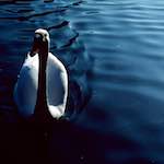 image: Image from the photoset &lsquo;st. neots (ii)&rsquo;.