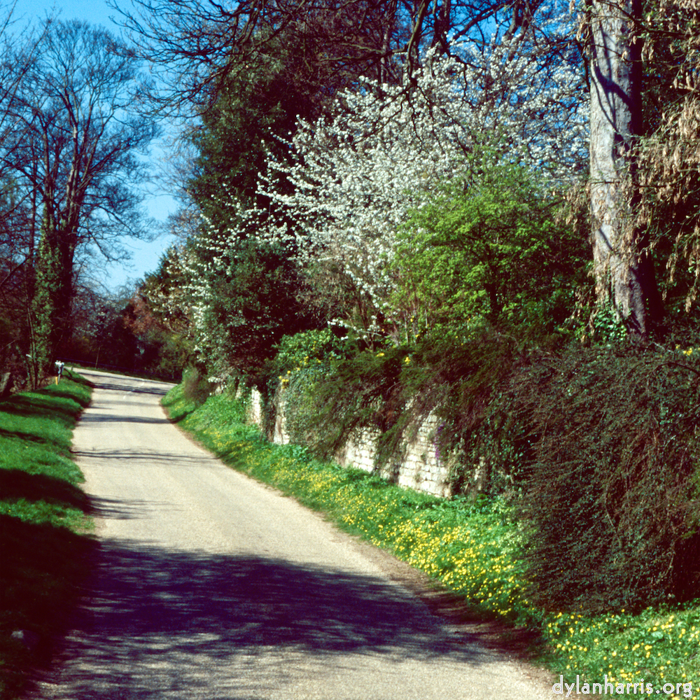 image: This is &lsquo;barnwell (iii) 1&rsquo;.