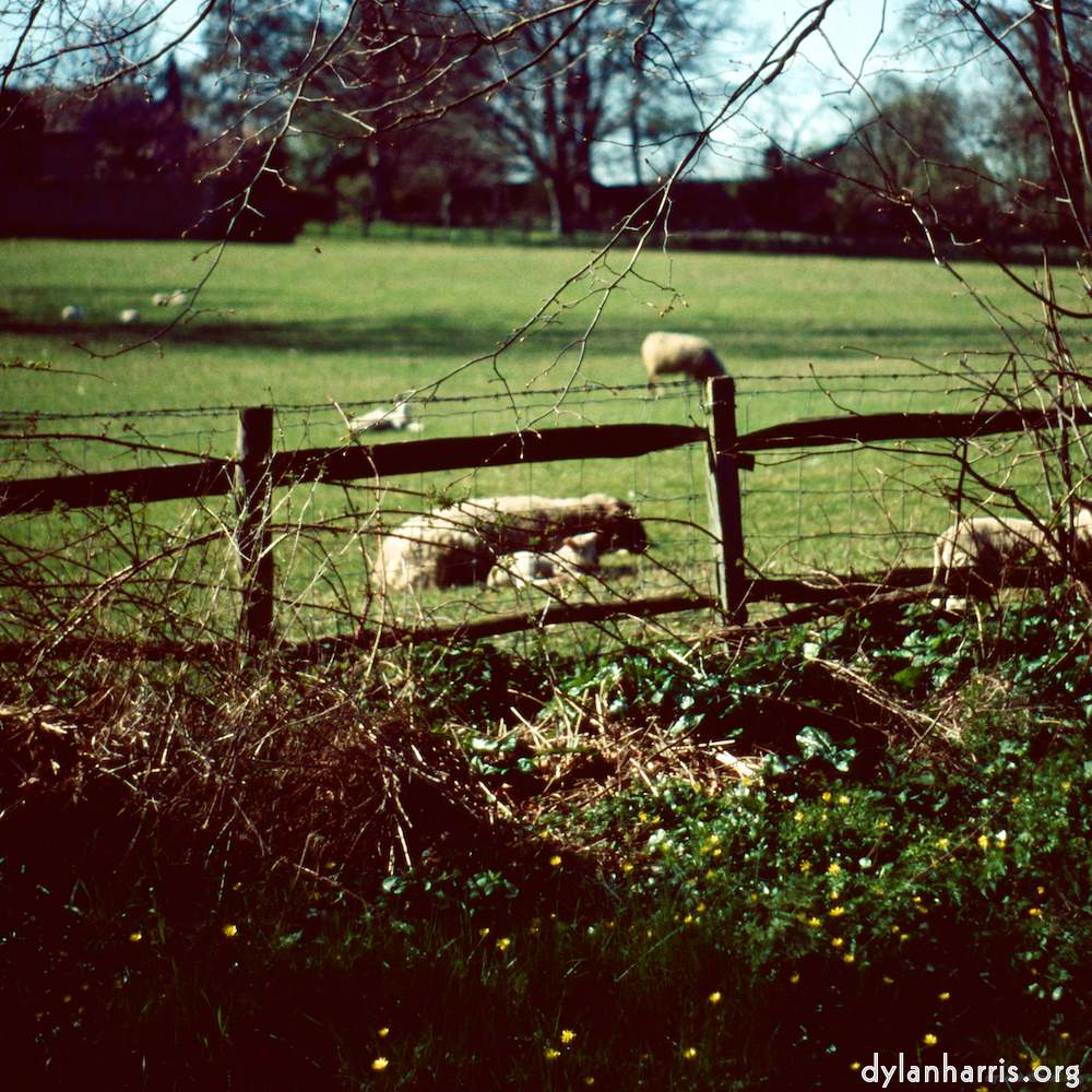 image: This is &lsquo;barnwell (iii) 6&rsquo;.