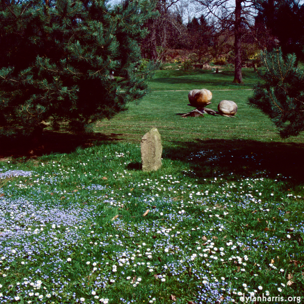 image: This is &lsquo;yorkshire (viii) 7&rsquo;.
