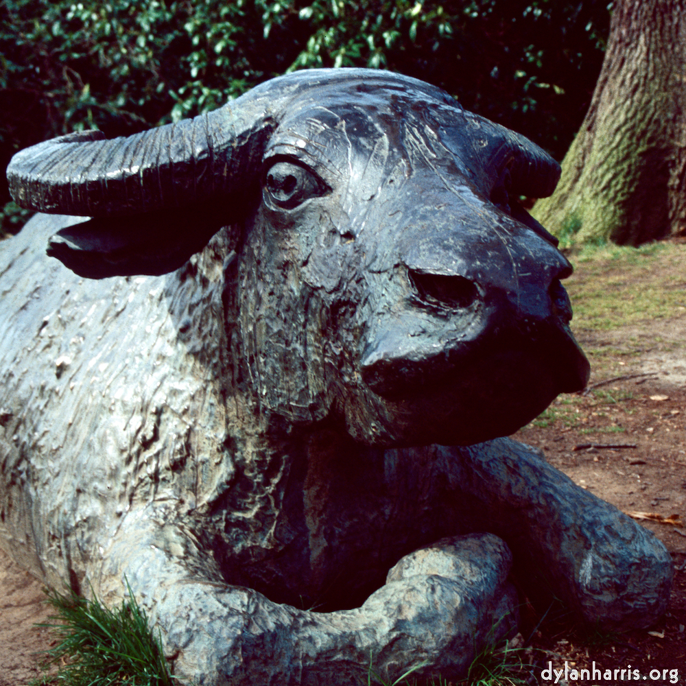 image: This is &lsquo;yorkshire (viii) 8&rsquo;.
